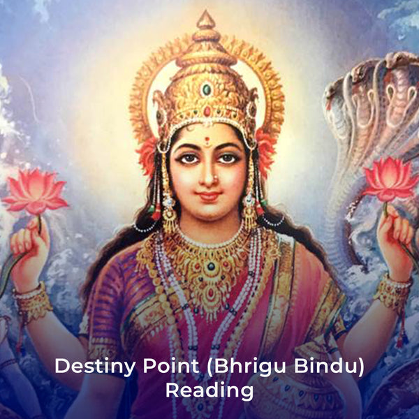 Destiny Point (Bhrigu Bindu) Reading