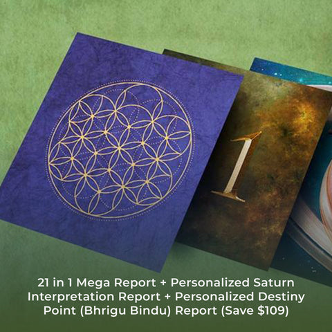 21 in 1 Mega Report + Personalized Saturn Interpretation Report + Personalized Destiny Point (Bhrigu Bindu) Report (Save $109)