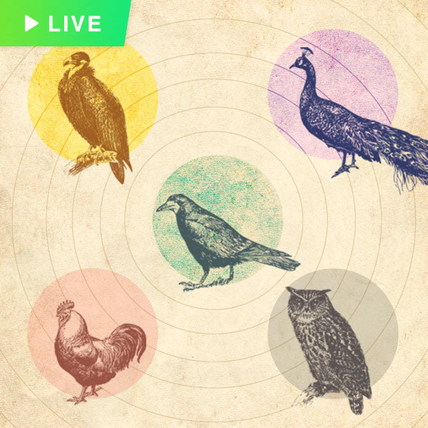 The Deeper Secrets of Panchapakshi Webinar